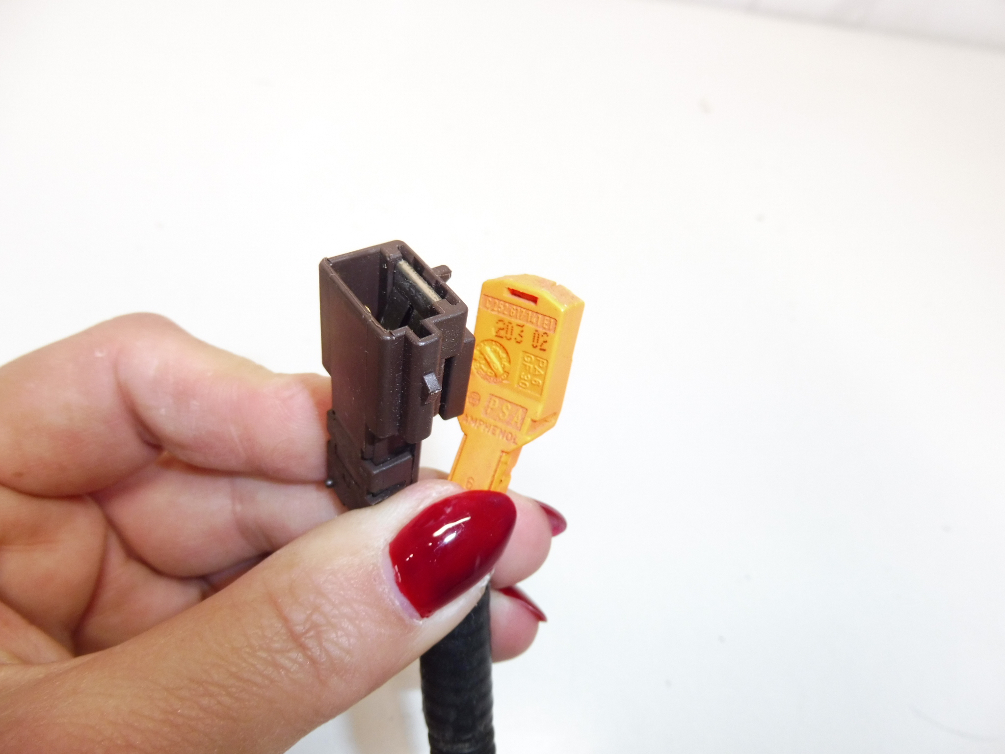 Ensemble tendeur de courroie Citroën Peugeot 8978FP