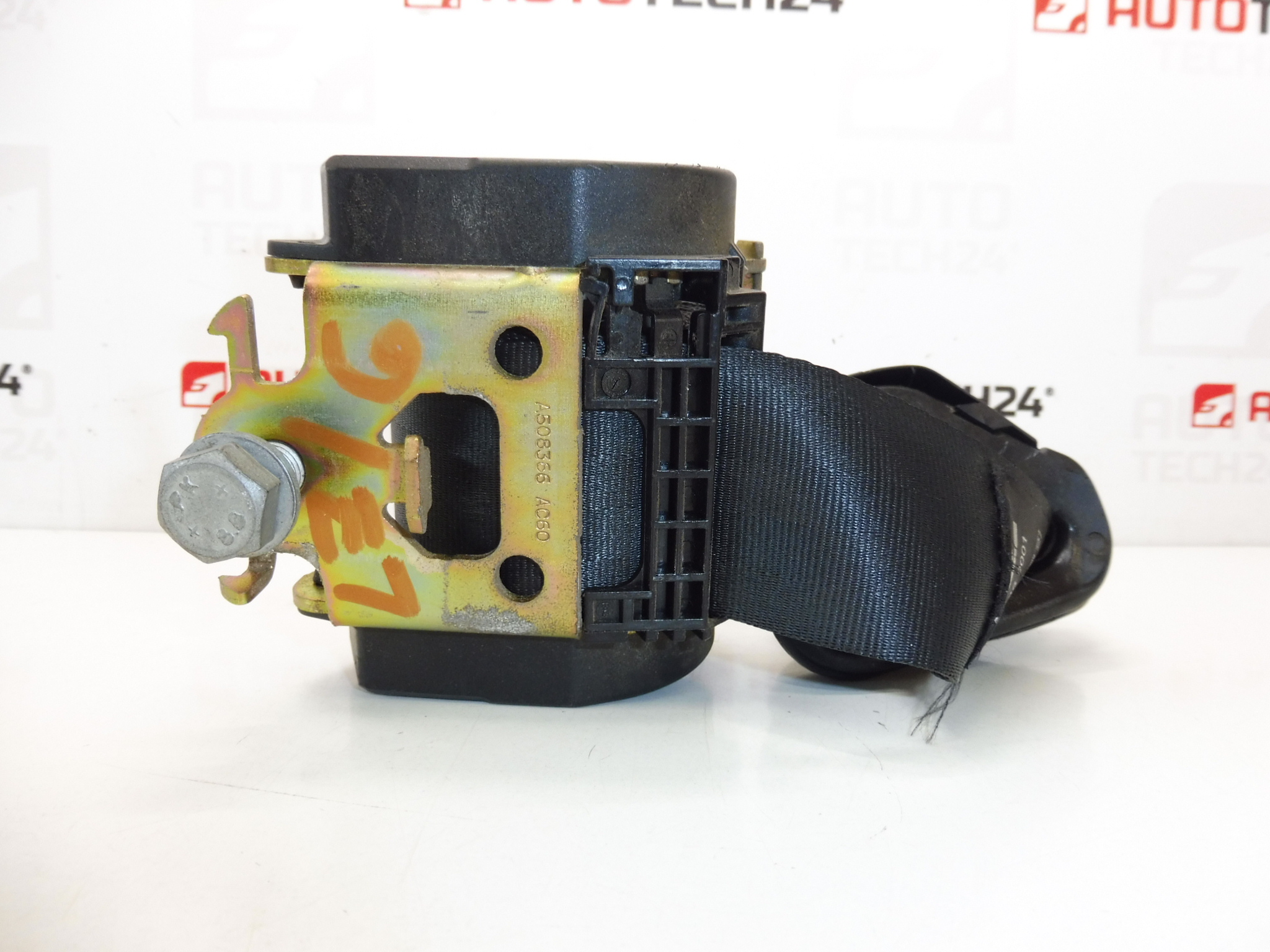 Courroie arrière droite Peugeot 307 96403820XX 8974JN