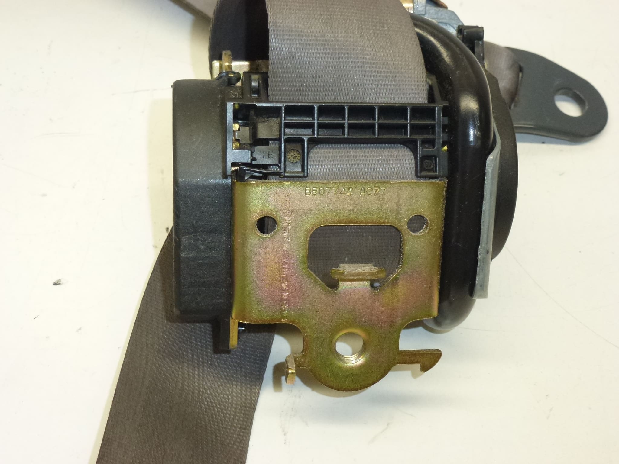 Courroie avant gauche Citroën Xsara Picasso 96314387XX 8974C8