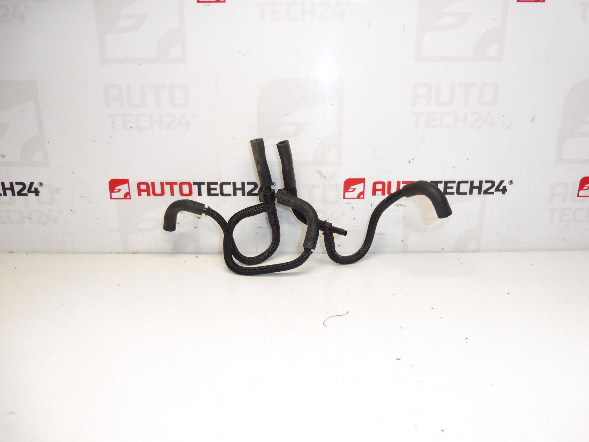 Pipe à dépression Citroën Peugeot 2.2 HDI 1622AE