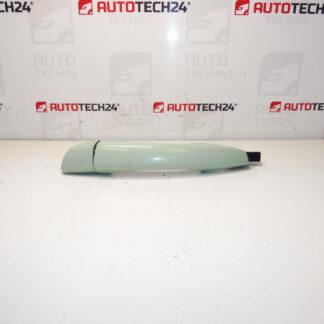 Citroën C3 III ELSB 1609240780 Porte arrière