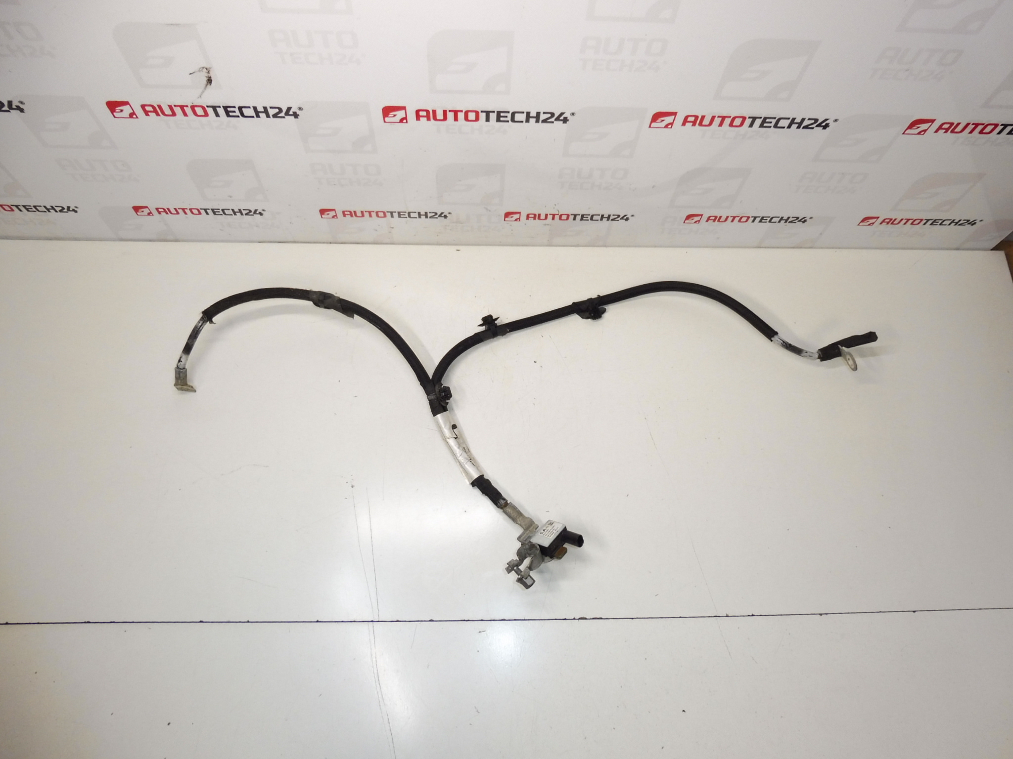 Citroën Peugeot 9816283880 Câble de perche négatif