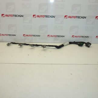 Faisceau d'injecteur DELPHI Citroën Peugeot 2.0 HDI 9662908580 6569Y5