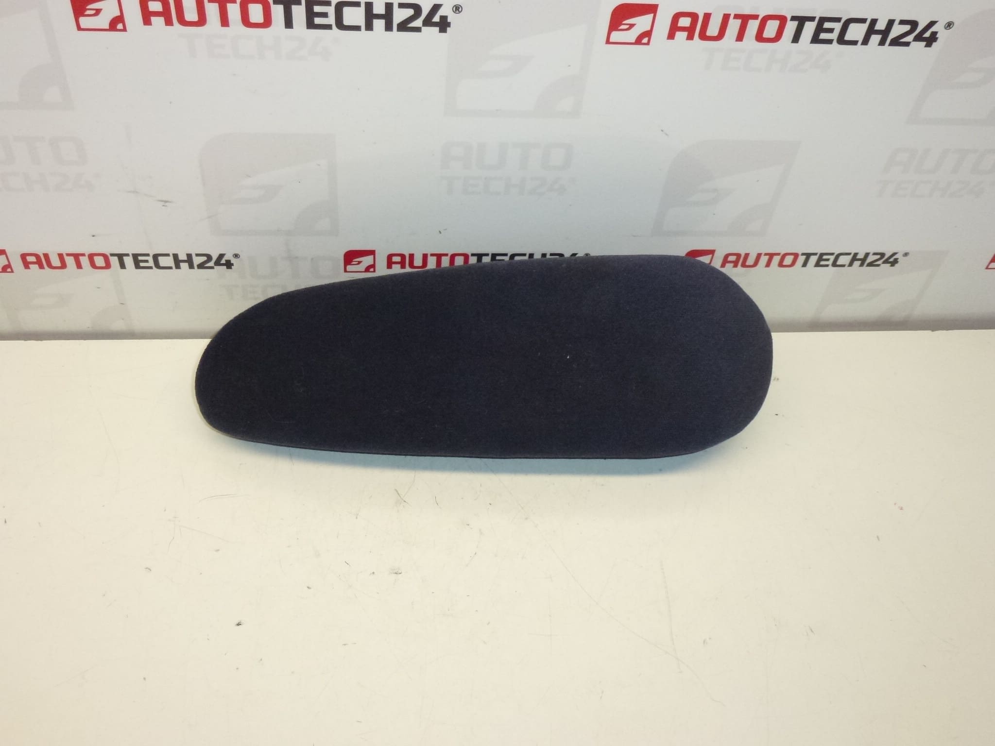 Accoudoir gauche Citroën Peugeot 8830H4