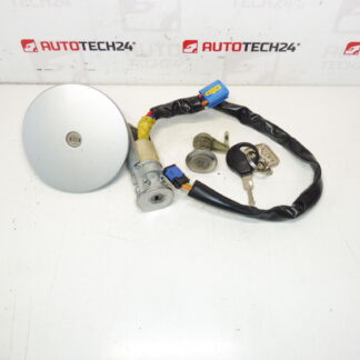 Sada de Serrures Peugeot 206 1 Clé 4162EZ 4162NR