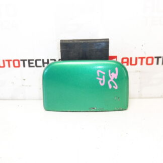 Poignée de porte avant gauche Citroën Berlingo verte 9101H6