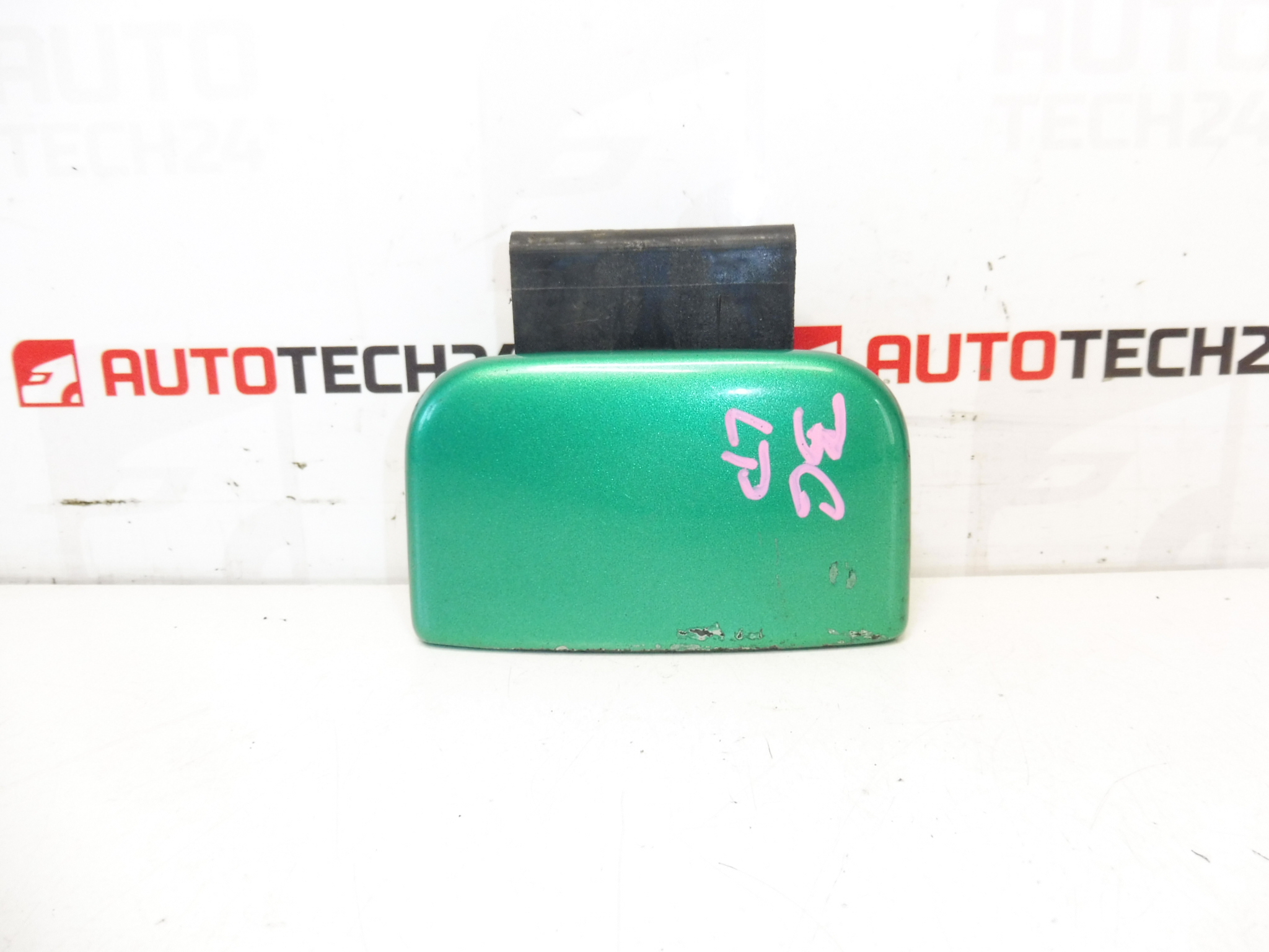 Poignée de porte avant gauche Citroën Berlingo verte 9101H6