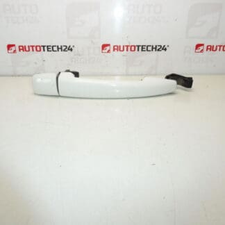 Citroën Peugeot EWBP 9101GH