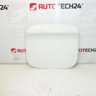 Peugeot 301 Citroen C -lysée EWP 9677571480