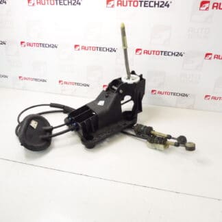 Peugeot 207 9685232980 2400JZ Lever Shift