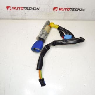 Coffret électrique Peugeot 206 1 clé 4162Z1