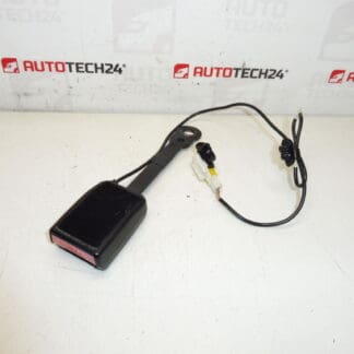 Titulaire du permis de conduire Peugeot 307 CC 8974Q8