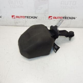 Ceinture de sécurité arrière Citroen C3 II A51 DS3 98019948XX