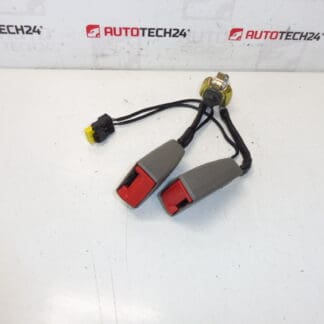 Verrouillage de ceinture de sécurité Citroën C5 II 8974W8