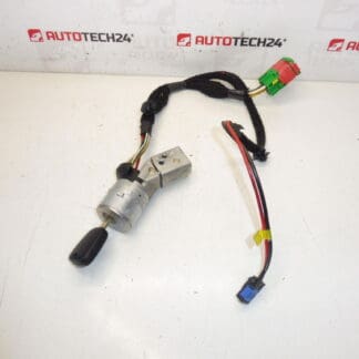 Boitier interrupteur 1 clé Peugeot 307 4162AS