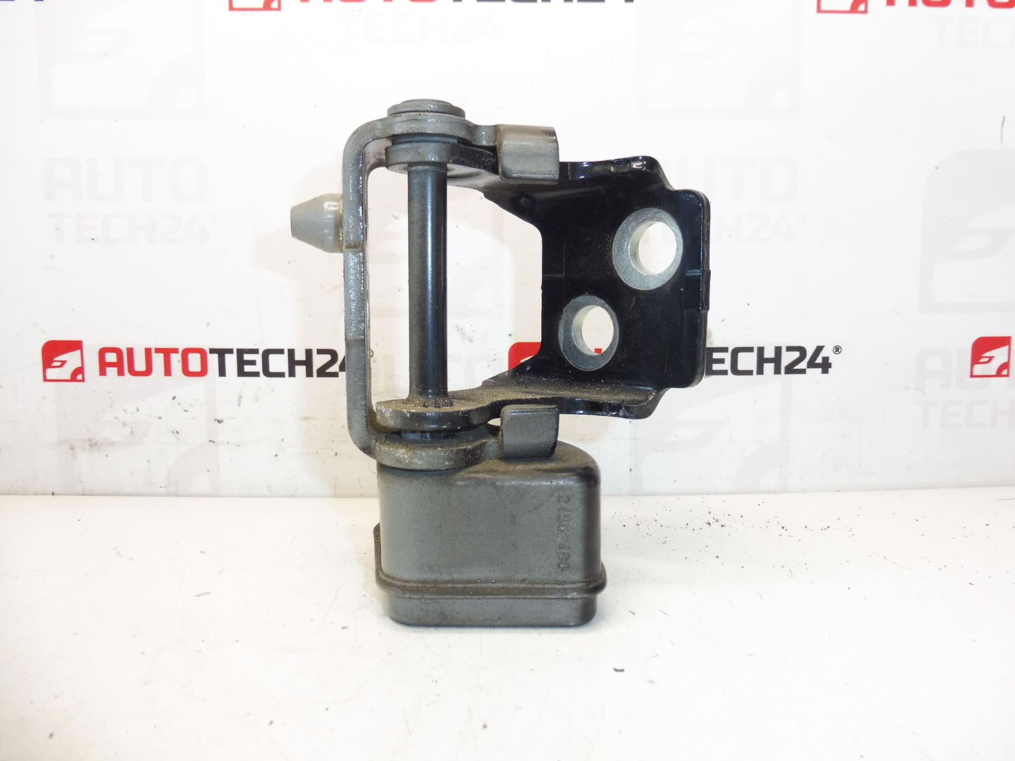Butée charnière de porte arrière droite EXLD Peugeot 207 9037C0