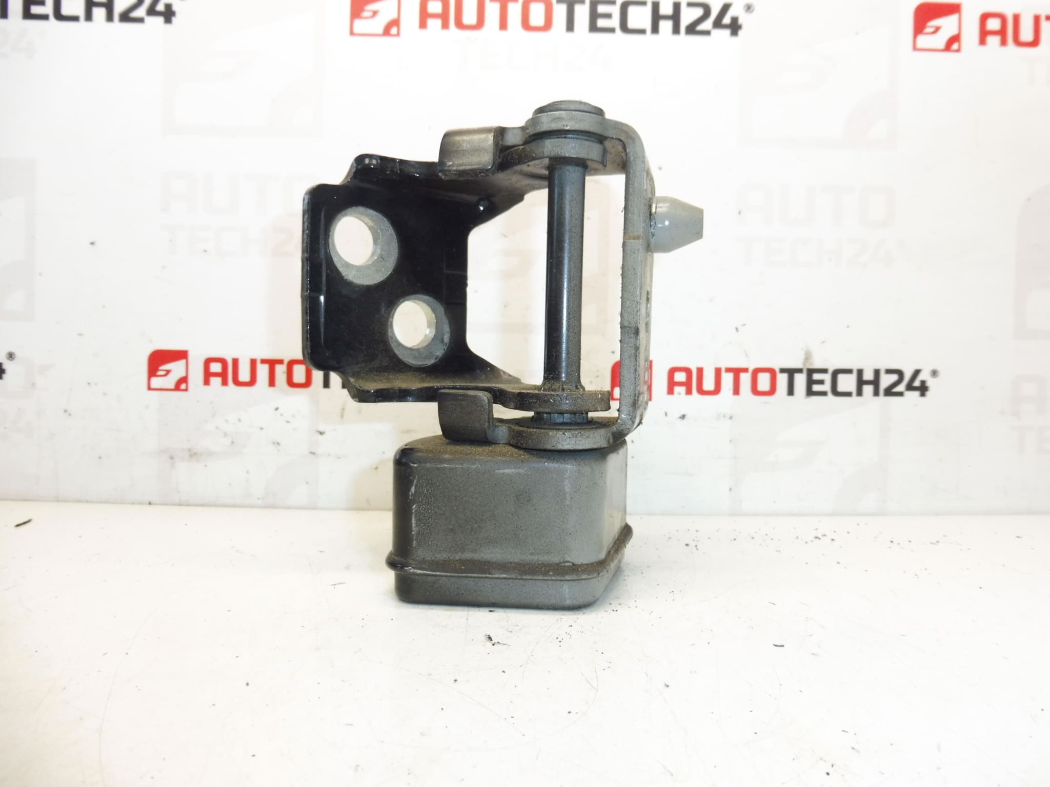 Butée charnière de porte arrière gauche EXLD Peugeot 207 9037C1 – Image 2