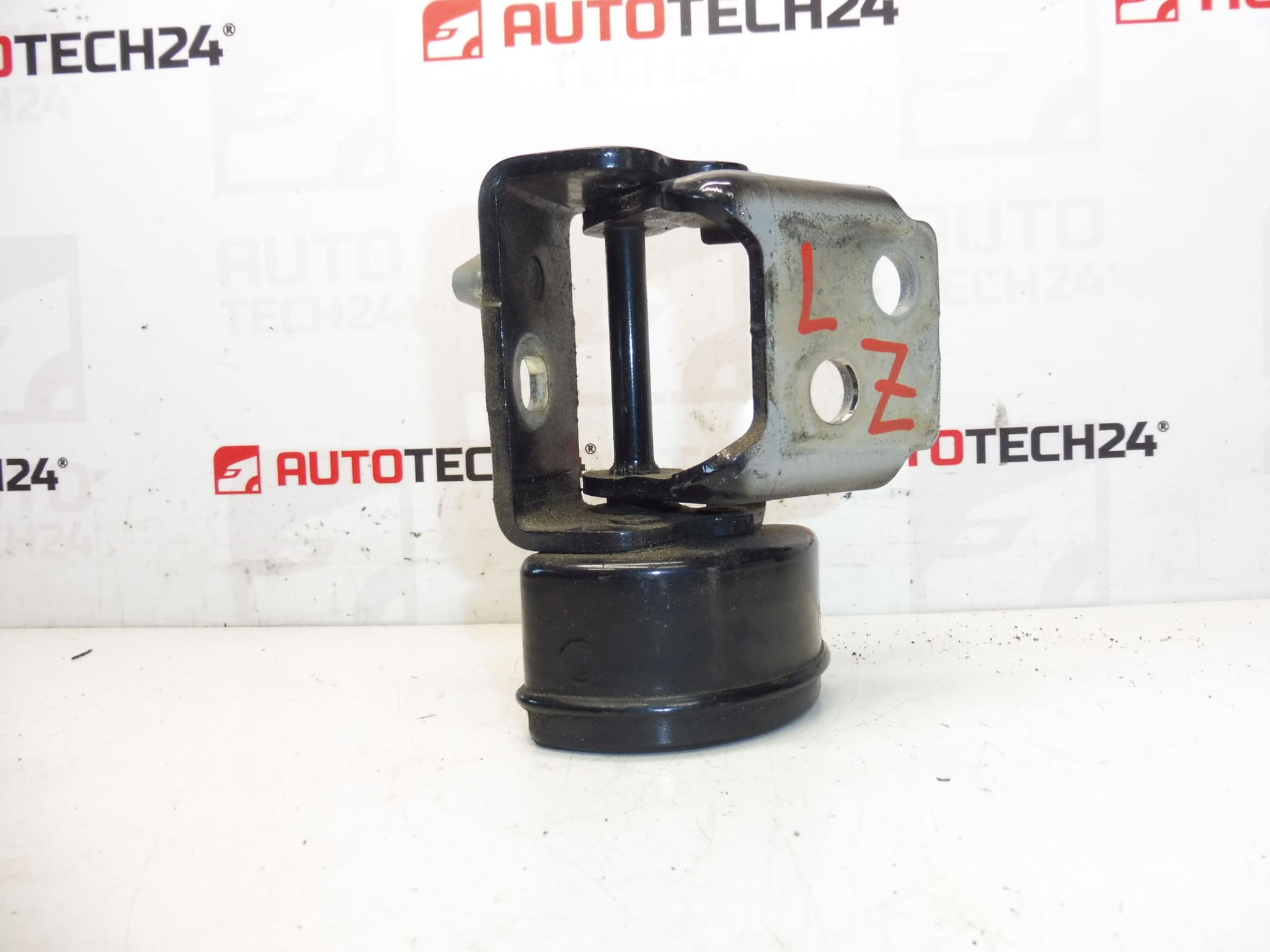 Butée charnière de porte arrière gauche EXLD Peugeot 207 9037C1