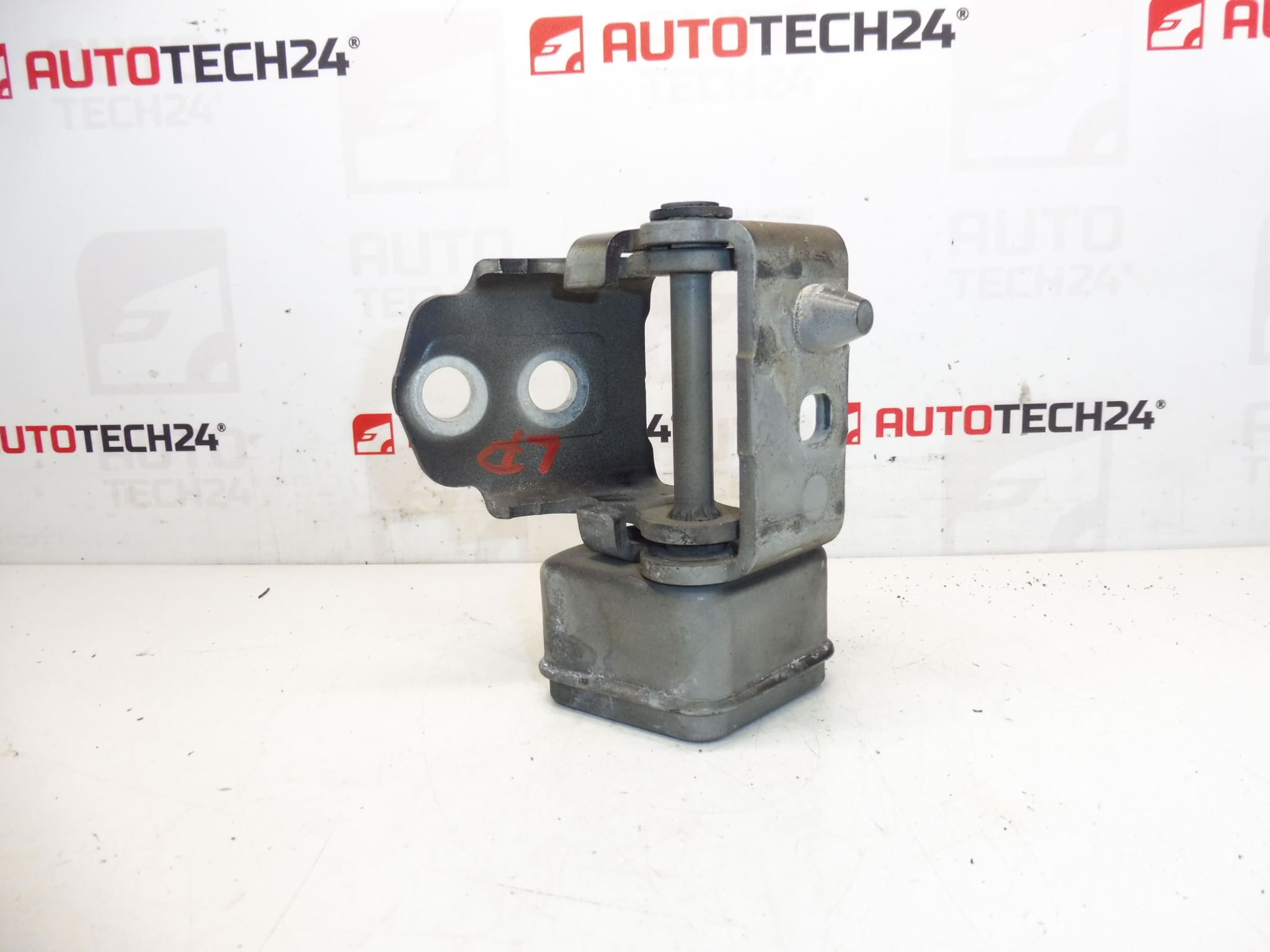 Butée charnière de porte avant gauche EXLD Peugeot 207 9035T5