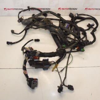 Faisceau Citroën Peugeot 2.0HDI RHJ 9684608680 6569RY